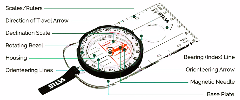 navigate using a compass