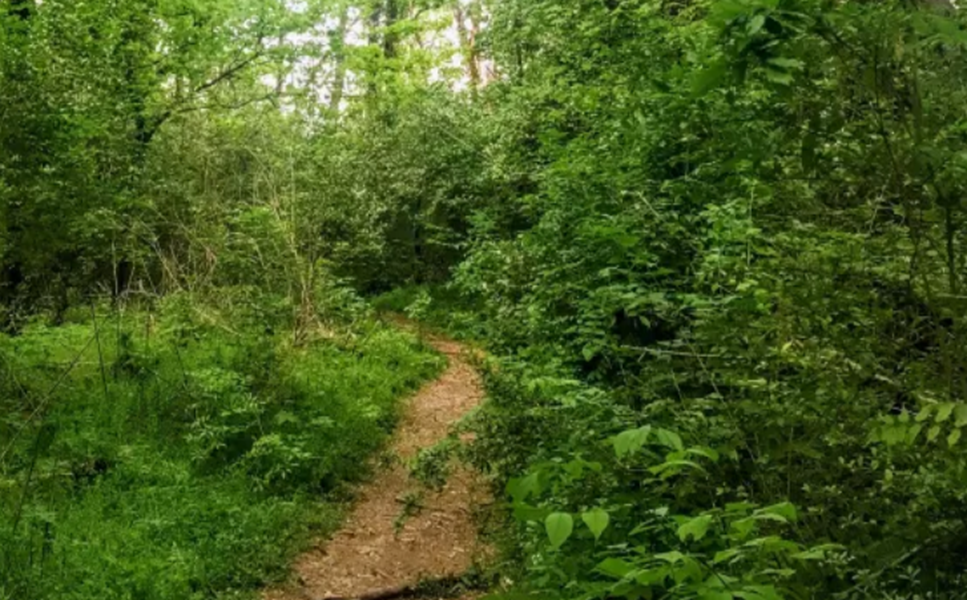 solo hiking