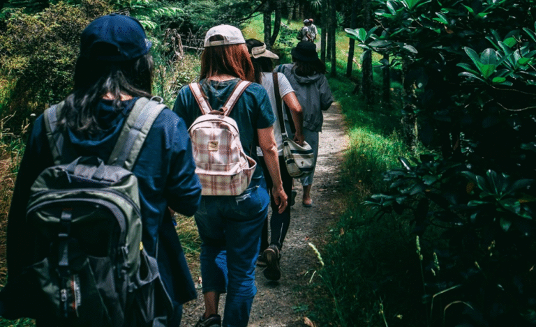 beginner hiking trails