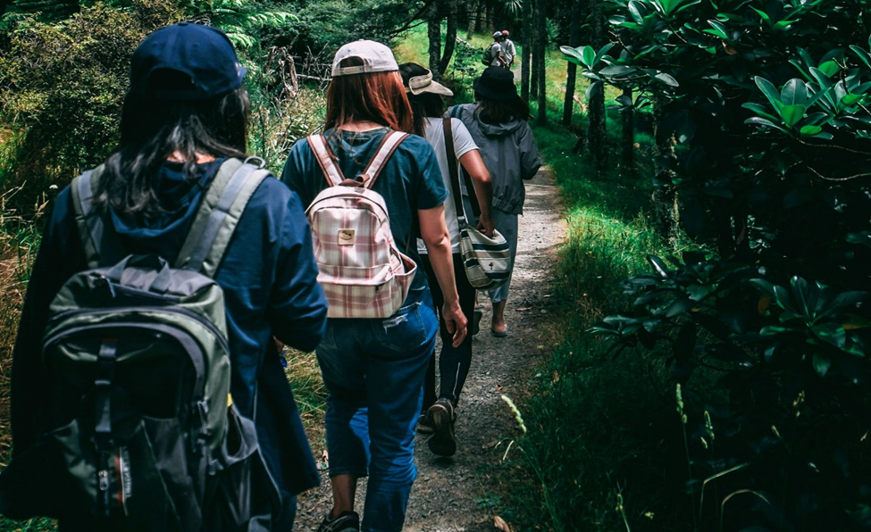 beginner hiking trails