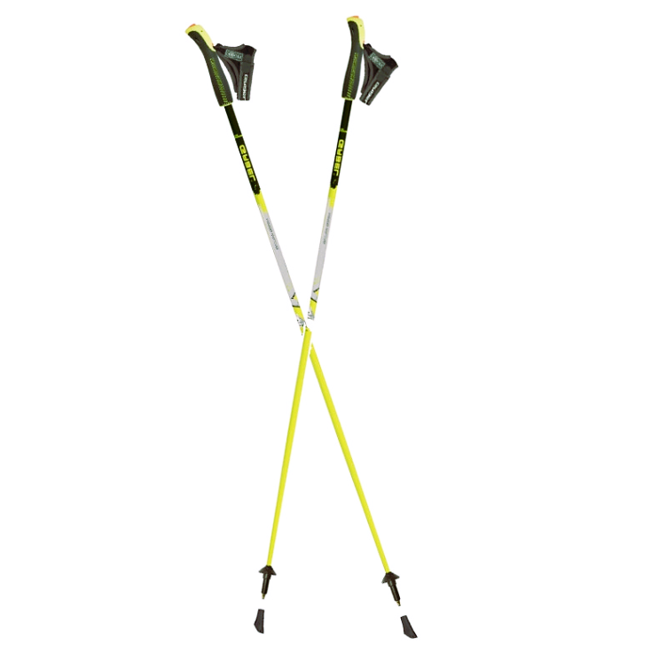 best trekking poles