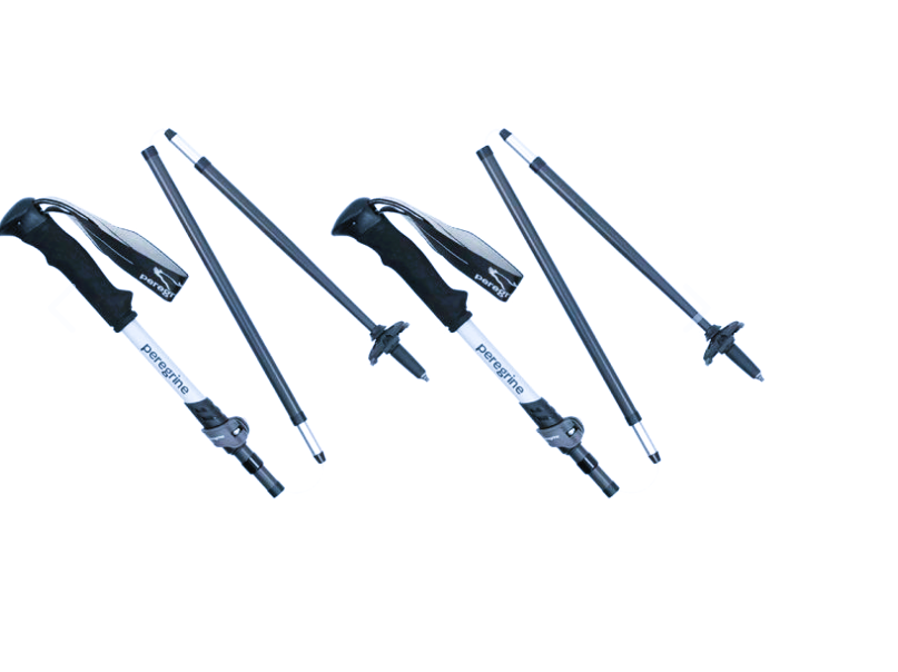best trekking poles