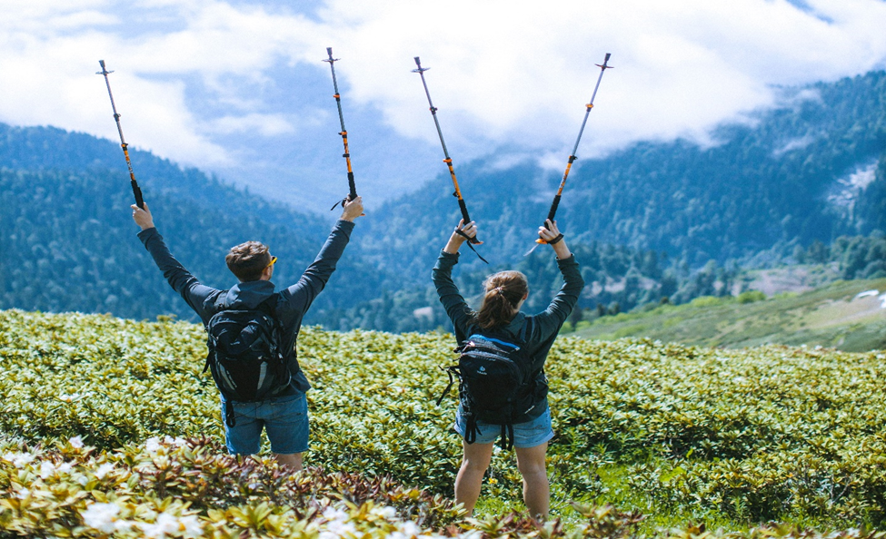 best trekking poles