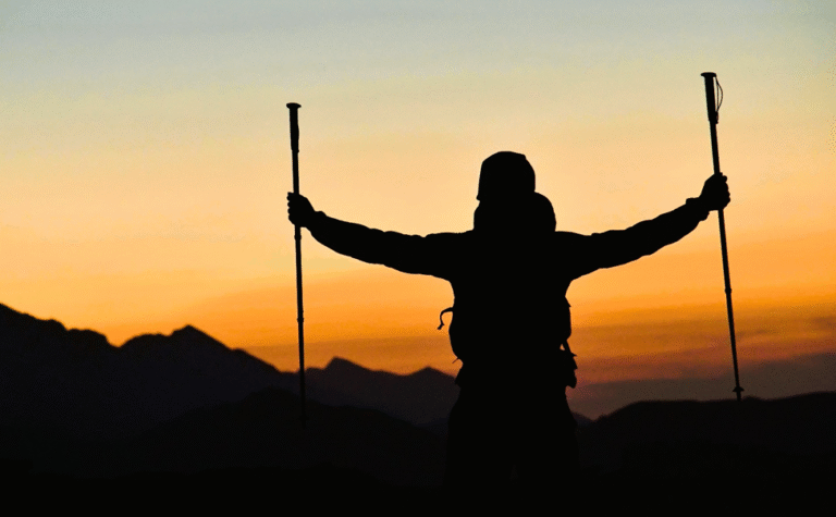 best trekking poles