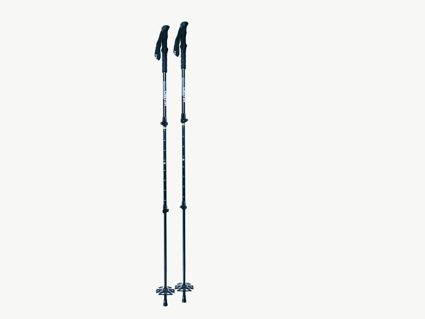 best trekking poles