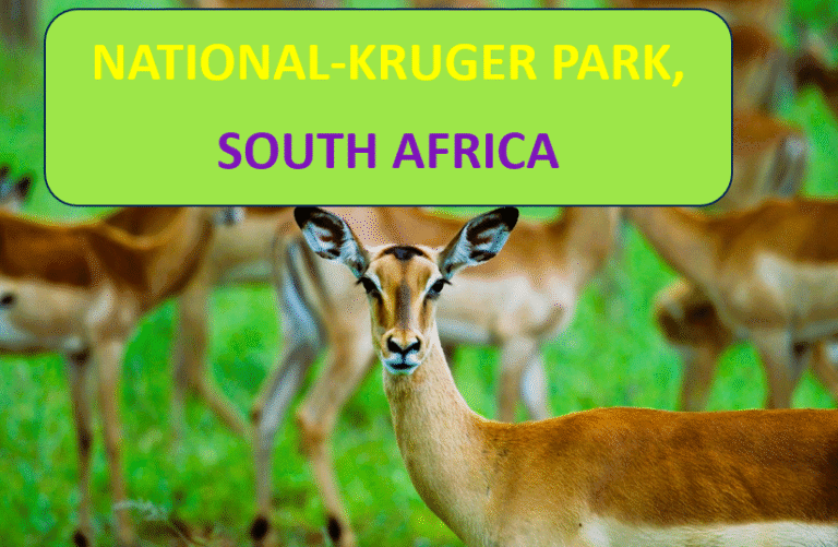 Kruger National Park