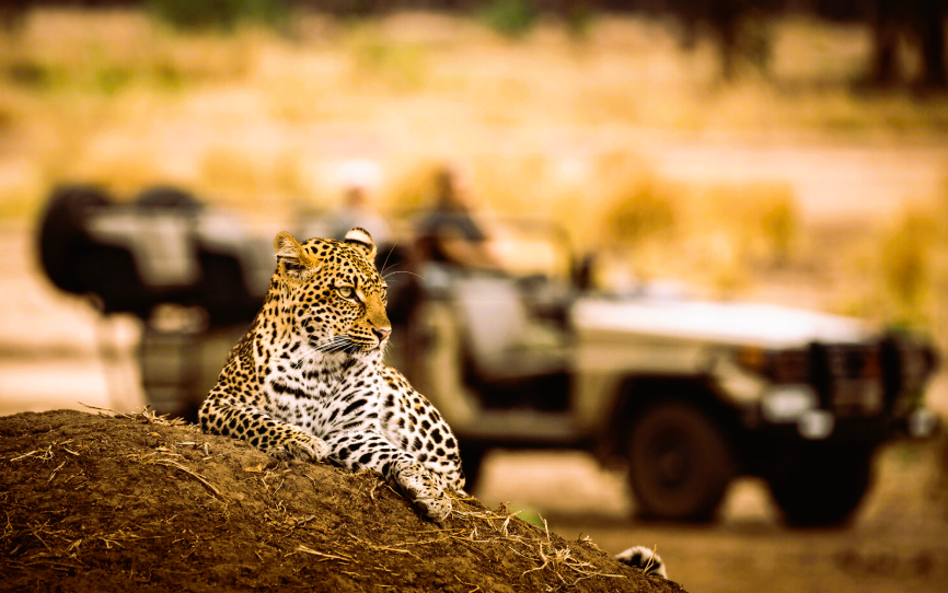 Kruger National Park