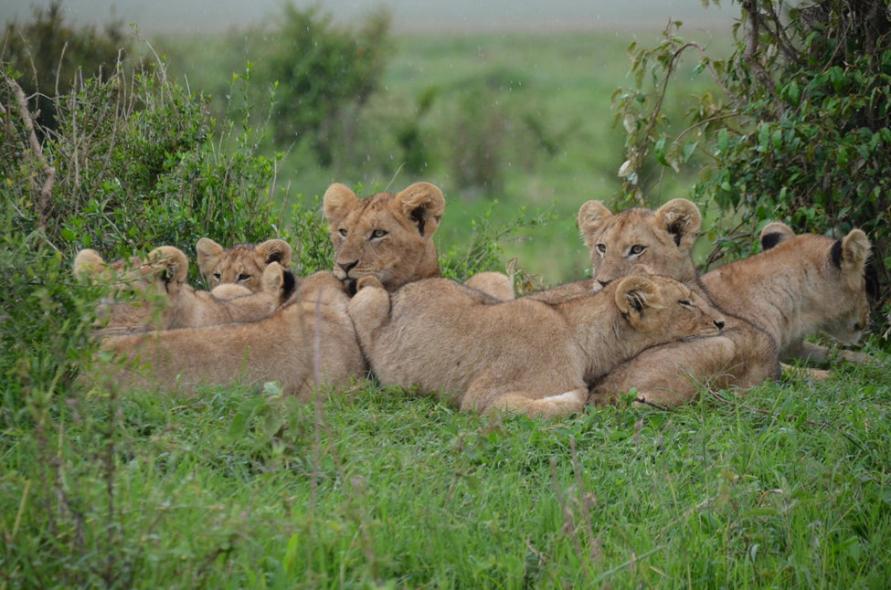 Kruger National Park