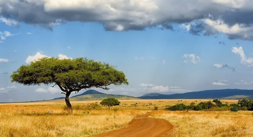 Best Time to Visit the Masai Mara