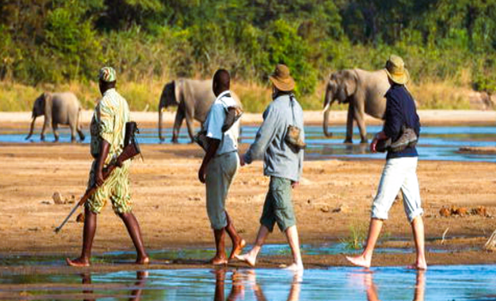 Masai Mara