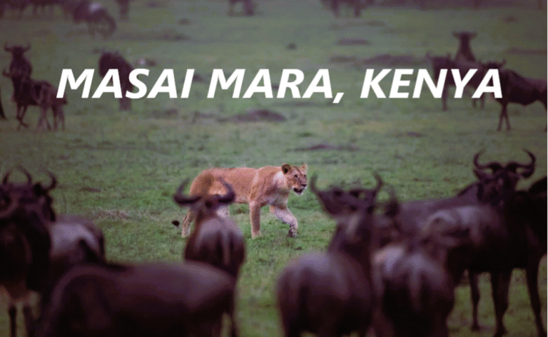 Masai Mara
