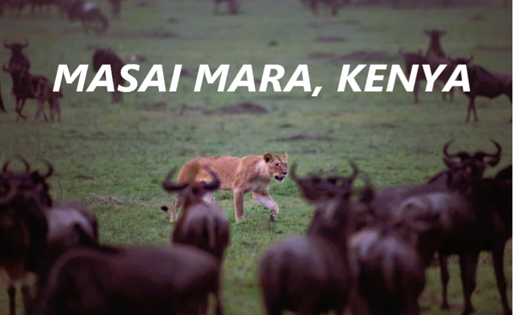 Masai Mara