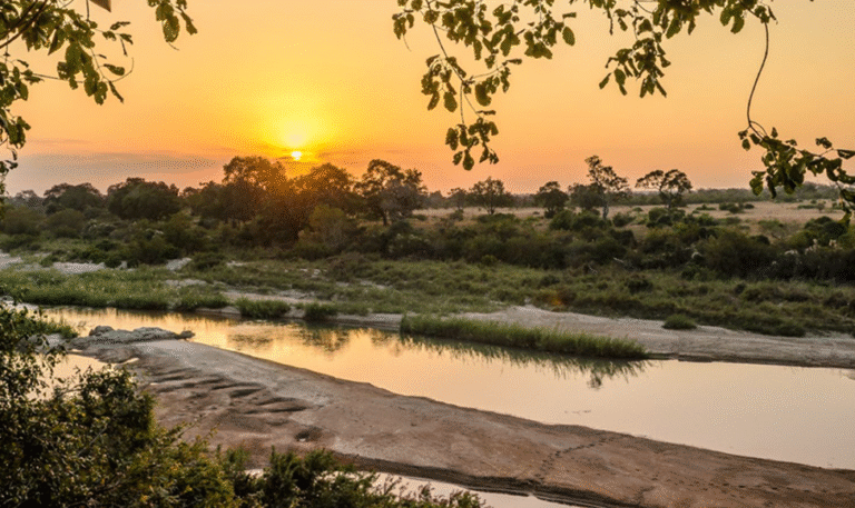 Kruger National Park