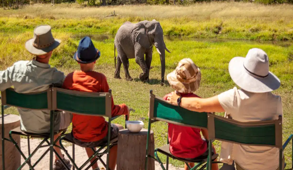 best time to go on a luxury African safari