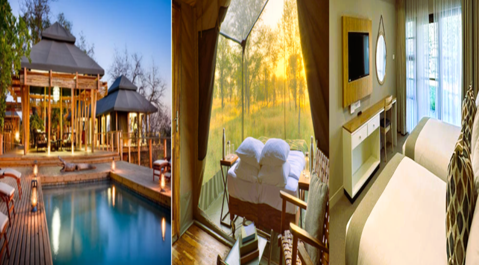 Luxury African Safari cost