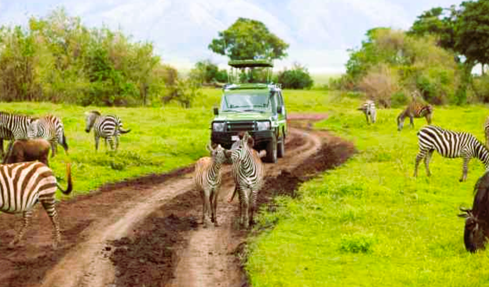 Luxury African Safari cost