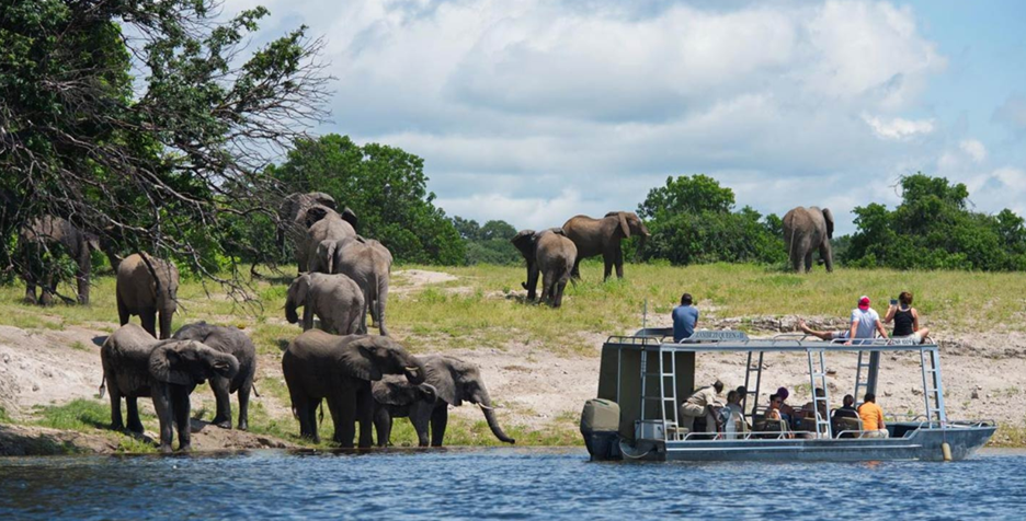 Luxury African Safari