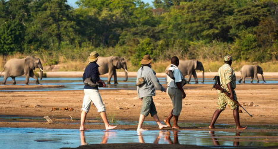 Luxury African Safari