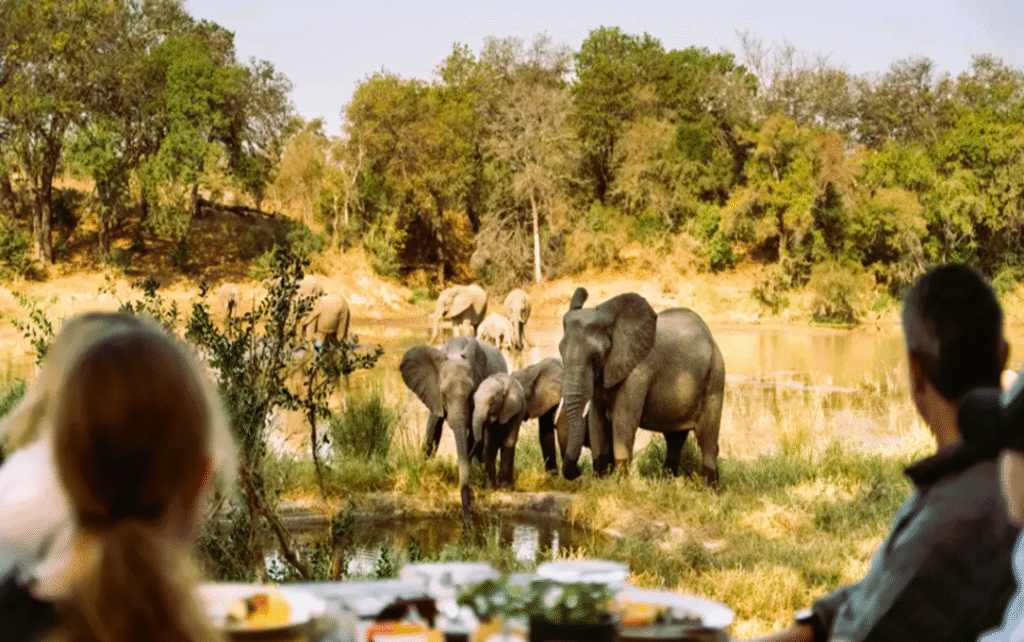 Luxury African Safari