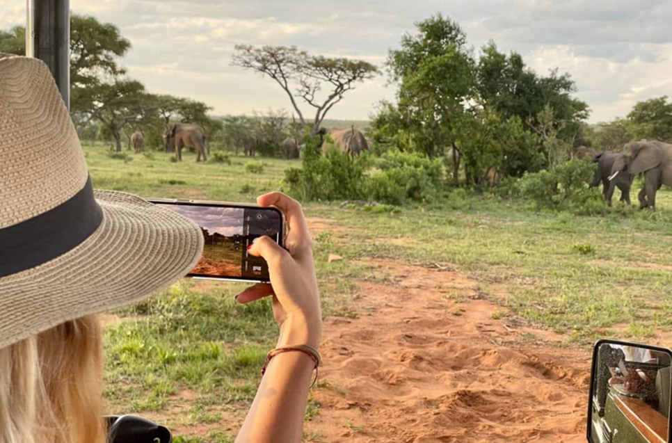 luxury African safari