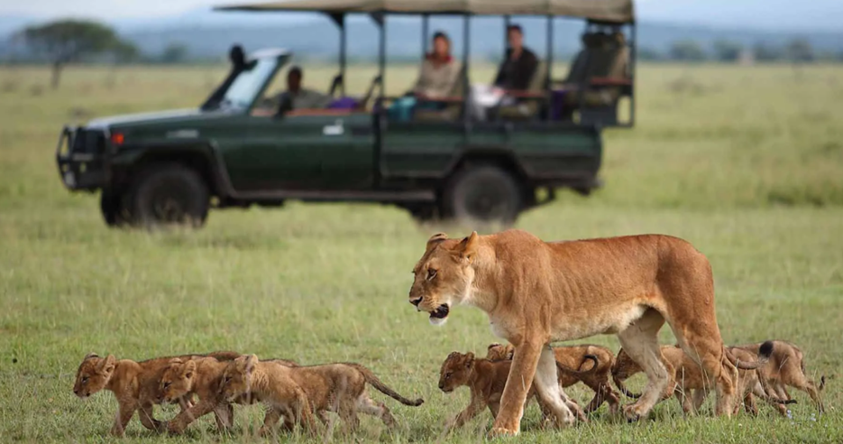  best time to visit Serengeti National Park