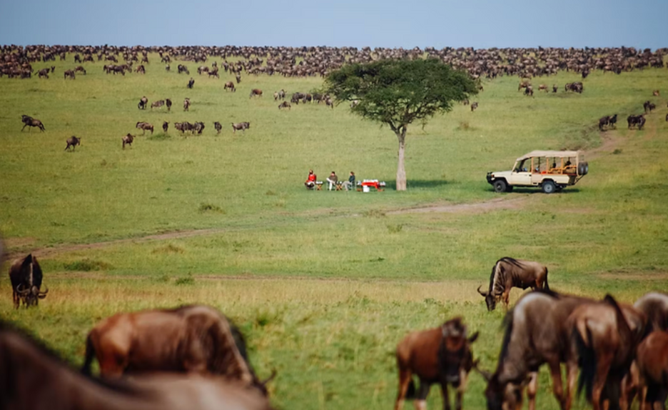 best time to visit Serengeti National Park