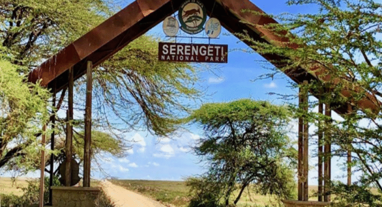 best time to visit Serengeti National Park