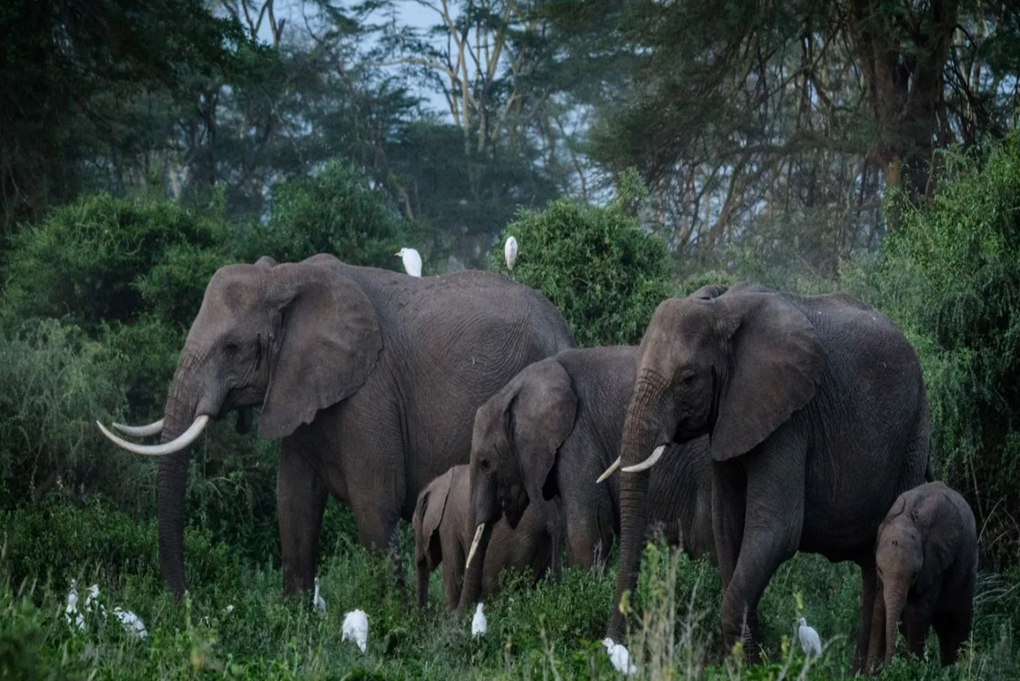 Kruger National Park