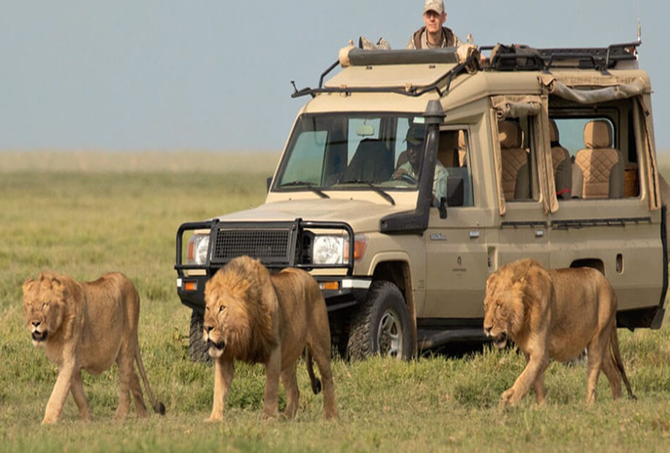  Serengeti National Park