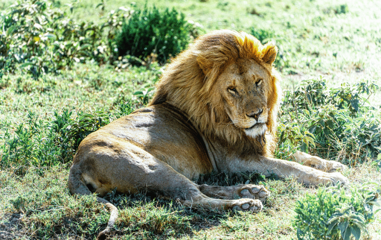 Serengeti National Park