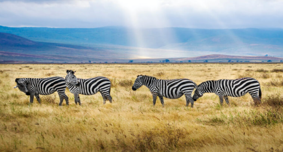 Serengeti National Park
