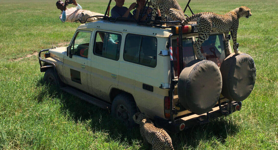 Serengeti National Park