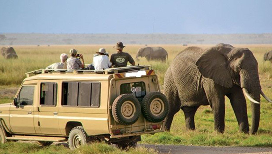 Serengeti guided tours