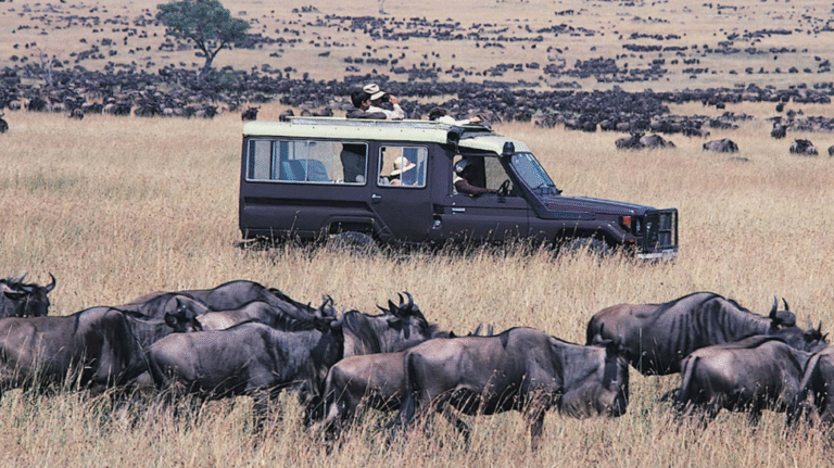 Great Migration in the Serengeti