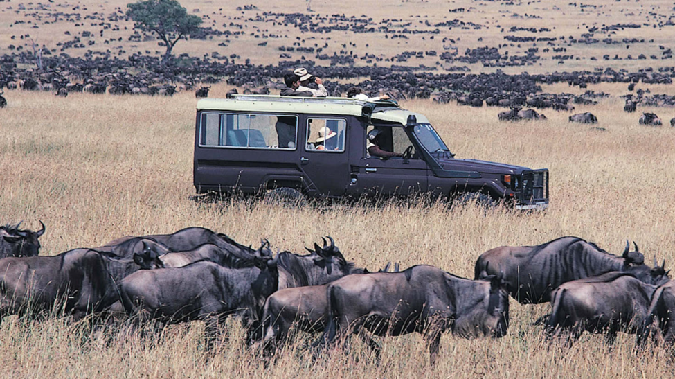 Great Migration in the Serengeti