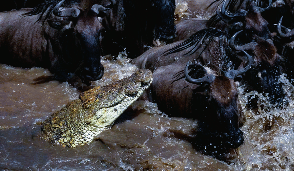 Great Migration in the Serengeti