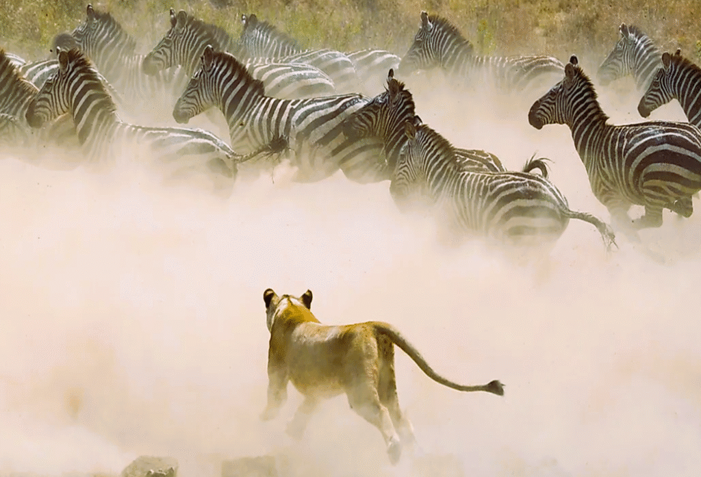 Great Migration in the Serengeti