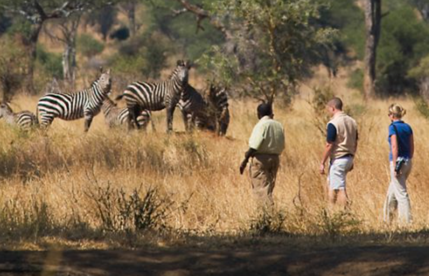 Serengeti National Park