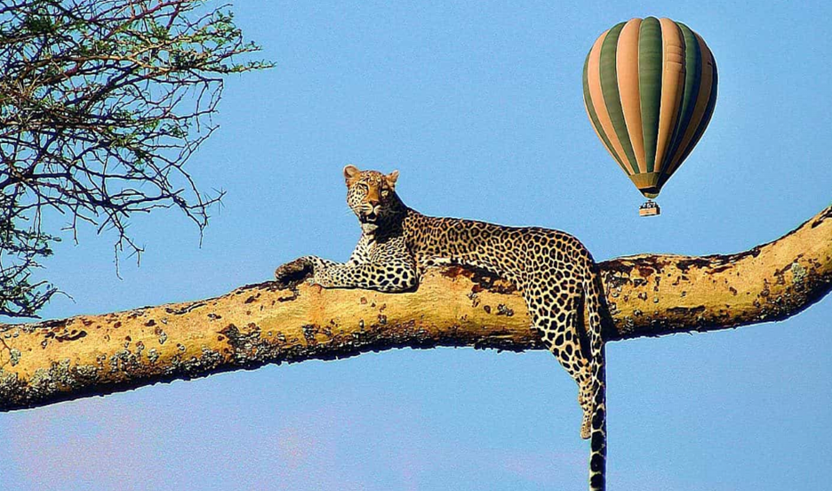 Serengeti National Park
