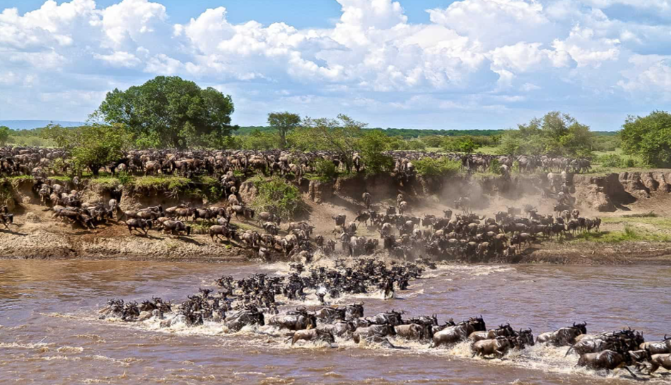 luxury African safari