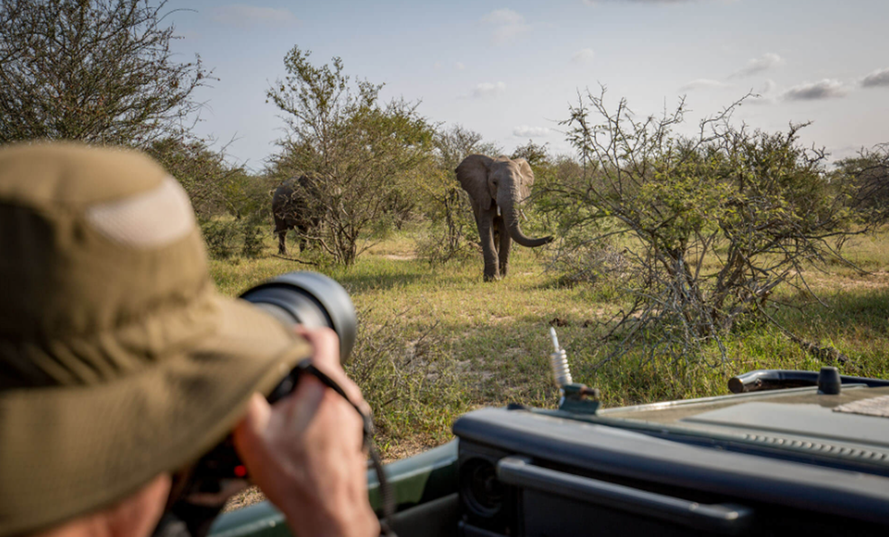 luxury African safari