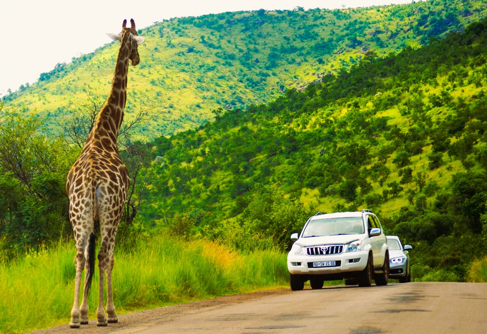 Kruger National Park