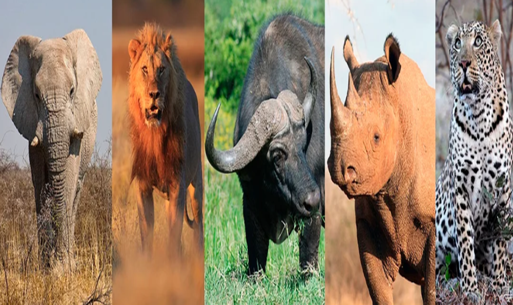 Kruger National Park