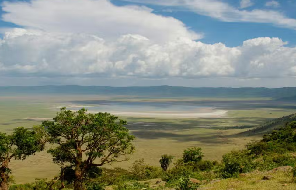 Luxury African Safari