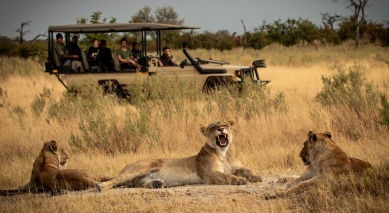 luxury African safari cost 2026
