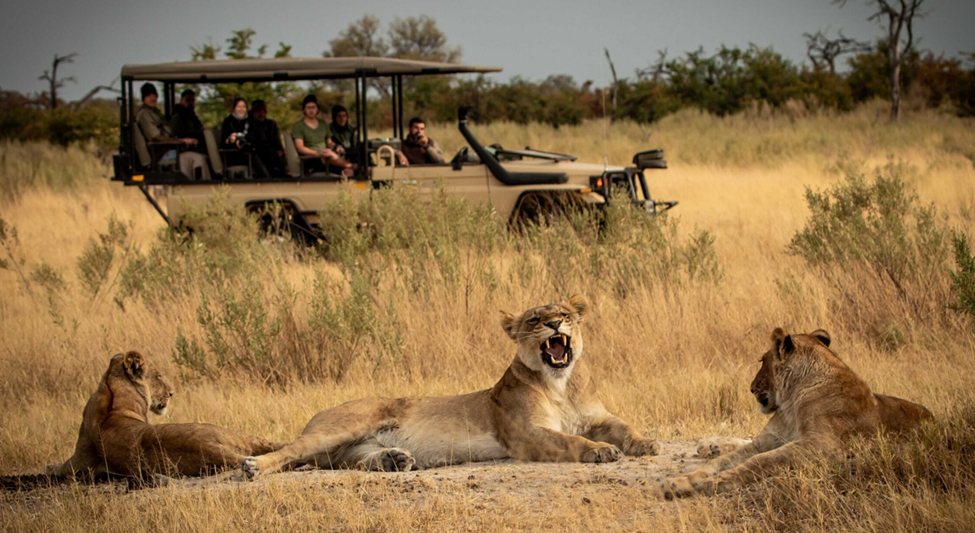luxury African safari cost 2026