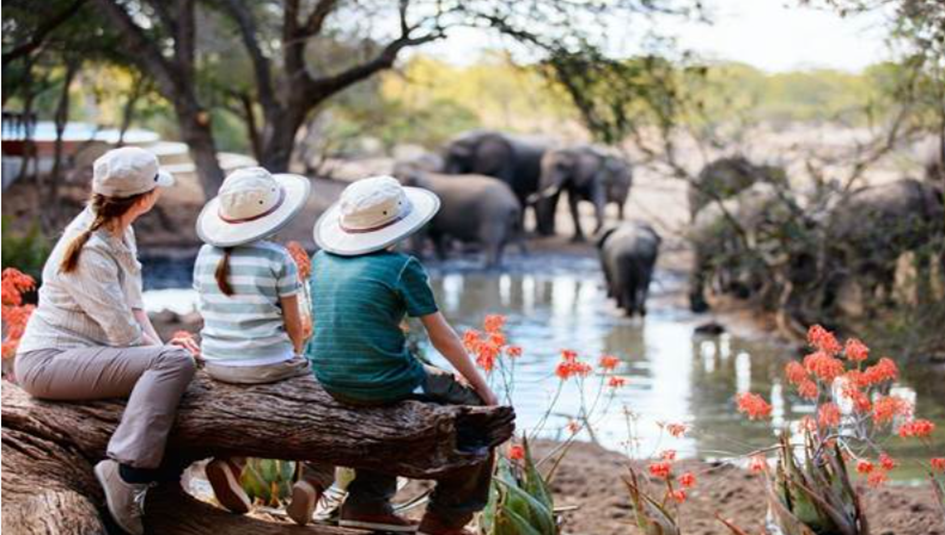 Best Time to Visit the Masai Mara