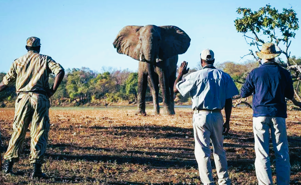 Types of Safaris in the Masai Mara