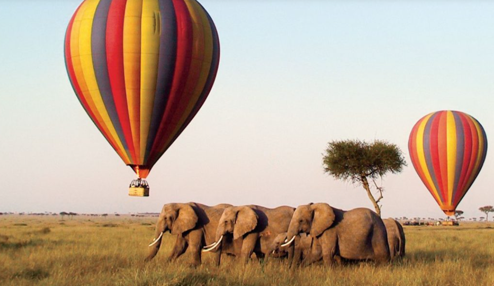 Types of Safaris in the Masai Mara