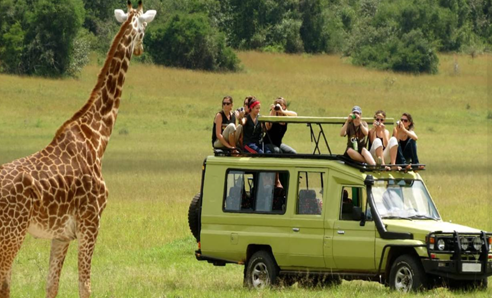 Types of Safaris in the Masai Mara